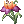 Valhalla's Flower